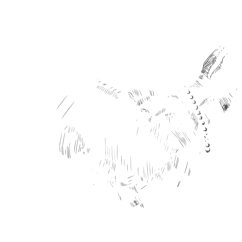 https://bexifunding.com/wp-content/uploads/2026/01/bexi-funding-s.png